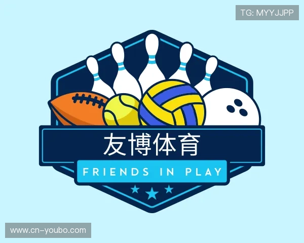 关于友博体育